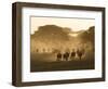 Wildebeest Migration, Tanzania-Charles Sleicher-Framed Photographic Print