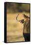 Wildebeest, Moremi Game Reserve, Botswana-Paul Souders-Framed Stretched Canvas