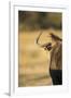 Wildebeest, Moremi Game Reserve, Botswana-Paul Souders-Framed Photographic Print