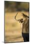 Wildebeest, Moremi Game Reserve, Botswana-Paul Souders-Mounted Photographic Print