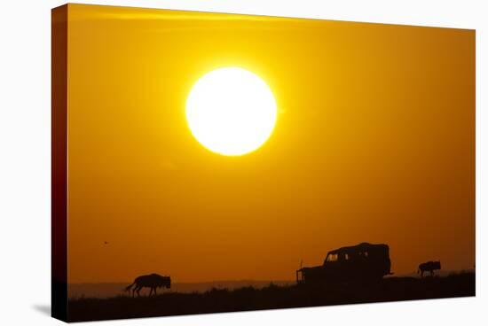 Wildebeest Near Safari Truck at Sunrise-Paul Souders-Stretched Canvas