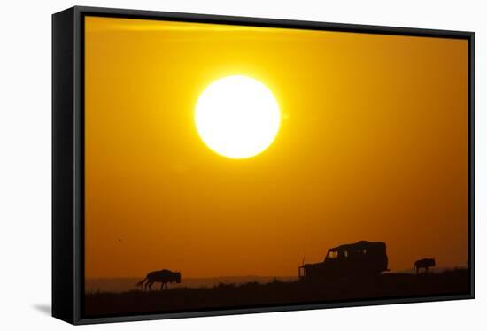 Wildebeest Near Safari Truck at Sunrise-Paul Souders-Framed Stretched Canvas