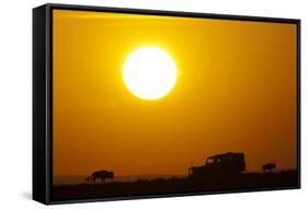 Wildebeest Near Safari Truck at Sunrise-Paul Souders-Framed Stretched Canvas