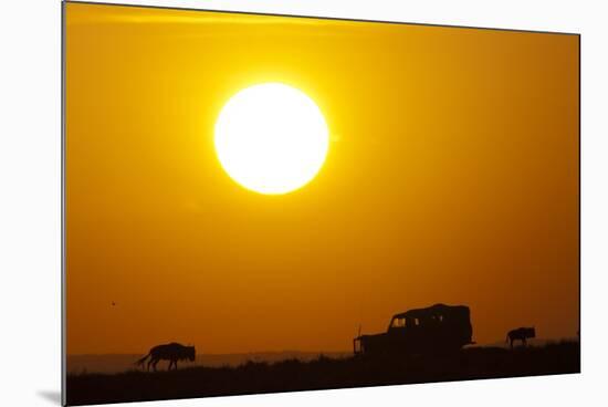 Wildebeest Near Safari Truck at Sunrise-Paul Souders-Mounted Photographic Print