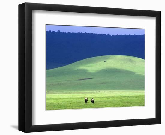 Wildebeest on Grassland in Ngorongoro Crater-Tibor Bogn?r-Framed Photographic Print