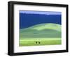 Wildebeest on Grassland in Ngorongoro Crater-Tibor Bogn?r-Framed Photographic Print