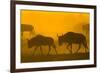 Wildebeest Sunrise and Dust in Amoseli N.P., Kenya Africa-Darrell Gulin-Framed Photographic Print