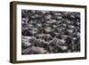 Wildebeest-DLILLC-Framed Photographic Print