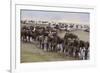 Wildebeest-DLILLC-Framed Photographic Print