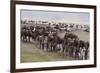 Wildebeest-DLILLC-Framed Photographic Print