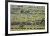 Wildebeest-DLILLC-Framed Photographic Print