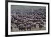 Wildebeest-DLILLC-Framed Photographic Print