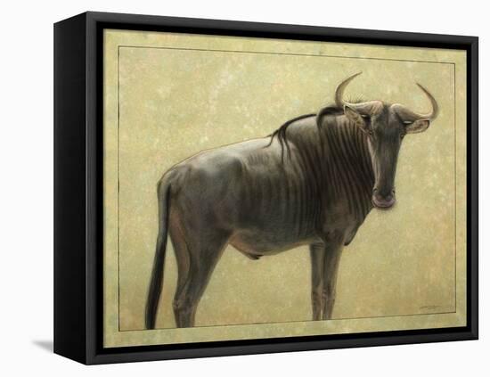 Wildebeest-James W. Johnson-Framed Stretched Canvas