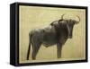 Wildebeest-James W. Johnson-Framed Stretched Canvas