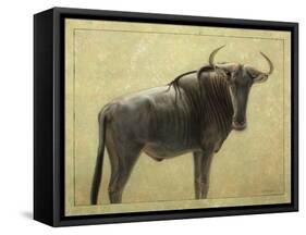 Wildebeest-James W. Johnson-Framed Stretched Canvas