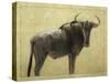 Wildebeest-James W. Johnson-Stretched Canvas