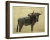 Wildebeest-James W. Johnson-Framed Giclee Print