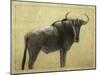 Wildebeest-James W. Johnson-Mounted Giclee Print