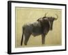 Wildebeest-James W. Johnson-Framed Giclee Print