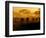 Wildebeests and Zebras at Sunset, Amboseli Wildlife Reserve, Kenya-Vadim Ghirda-Framed Photographic Print