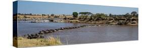 Wildebeests (Connochaetes Taurinus) Crossing a River, Serengeti National Park, Tanzania-null-Stretched Canvas
