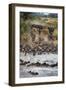 Wildebeests Crossing Mara River, Serengeti National Park, Tanzania-null-Framed Photographic Print