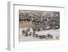 Wildebeests Crossing-AndreAnita-Framed Photographic Print