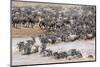 Wildebeests Crossing-AndreAnita-Mounted Photographic Print