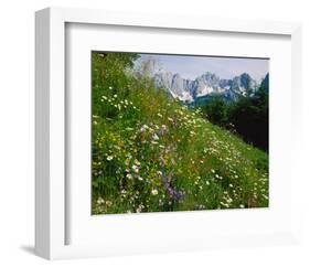 Wilder Kaiser Mountain Austria-null-Framed Art Print