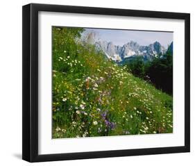 Wilder Kaiser Mountain Austria-null-Framed Art Print