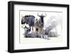 Wilderbeast-Eric Meyer-Framed Photographic Print