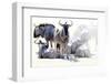 Wilderbeast-Eric Meyer-Framed Photographic Print