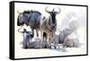 Wilderbeast-Eric Meyer-Framed Stretched Canvas