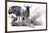 Wilderbeast-Eric Meyer-Framed Photographic Print