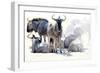 Wilderbeast-Eric Meyer-Framed Photographic Print