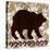 Wilderness Bear-Nicholas Biscardi-Stretched Canvas