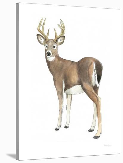 Wilderness Collection Deer II-Beth Grove-Stretched Canvas