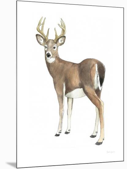 Wilderness Collection Deer II-Beth Grove-Mounted Art Print