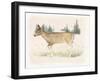 Wilderness Collection Deer-Beth Grove-Framed Art Print