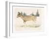 Wilderness Collection Deer-Beth Grove-Framed Art Print