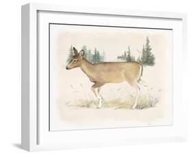 Wilderness Collection Deer-Beth Grove-Framed Art Print