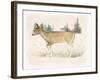 Wilderness Collection Deer-Beth Grove-Framed Art Print