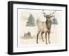 Wilderness Collection Elk-Beth Grove-Framed Art Print