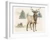 Wilderness Collection Elk-Beth Grove-Framed Art Print