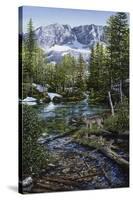 Wilderness Family-Jeff Tift-Stretched Canvas