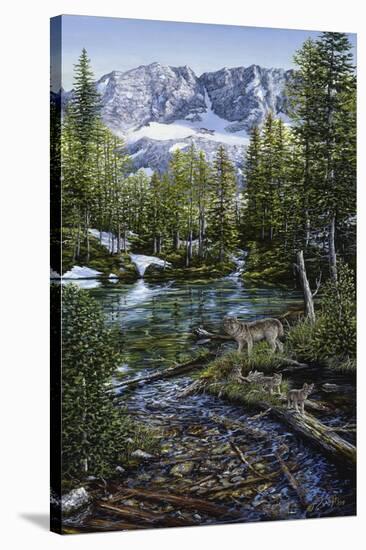 Wilderness Family-Jeff Tift-Stretched Canvas