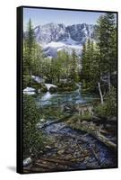 Wilderness Family-Jeff Tift-Framed Stretched Canvas