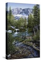 Wilderness Family-Jeff Tift-Stretched Canvas