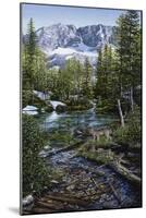Wilderness Family-Jeff Tift-Mounted Giclee Print