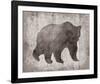 Wilderness I - Timber-Sandra Jacobs-Framed Giclee Print